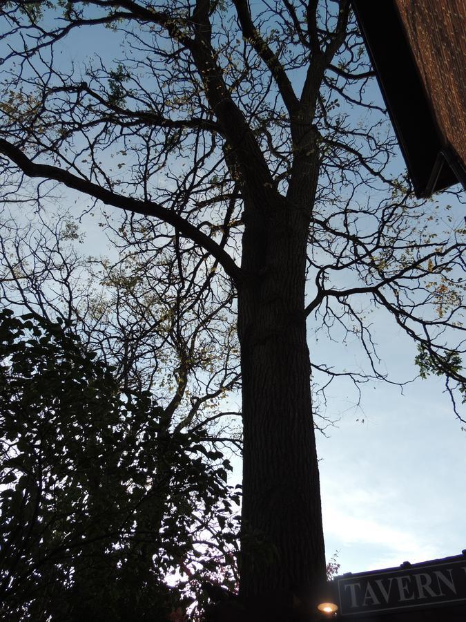 Farnsworth House Inn เกตตีสเบิร์ก ภายนอก รูปภาพ
